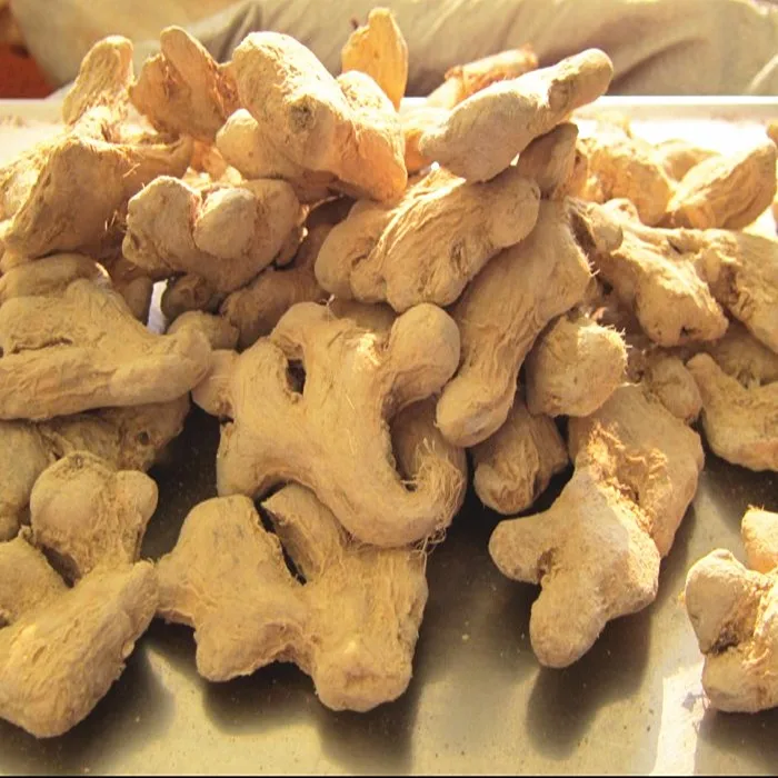 Price Of Fresh Ginger In Egypt Buy Price Of Fresh Ginger In Egypt