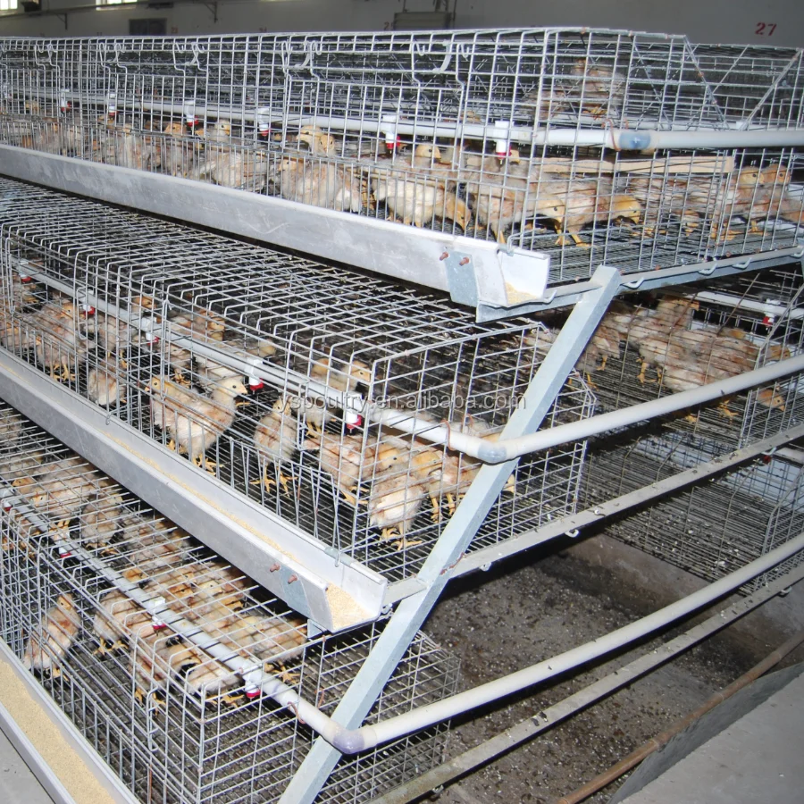 High Quality Low Price Chicken Cage For Day Old Chicks Sale In Kenya