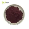 Natural Pants Extracts Hibiscus Flower Extract