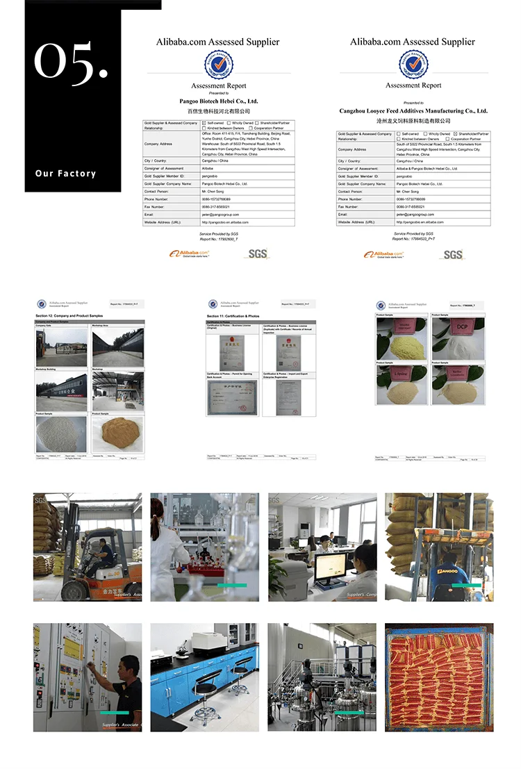 Chinese Factory Hot Sale lysine methionine