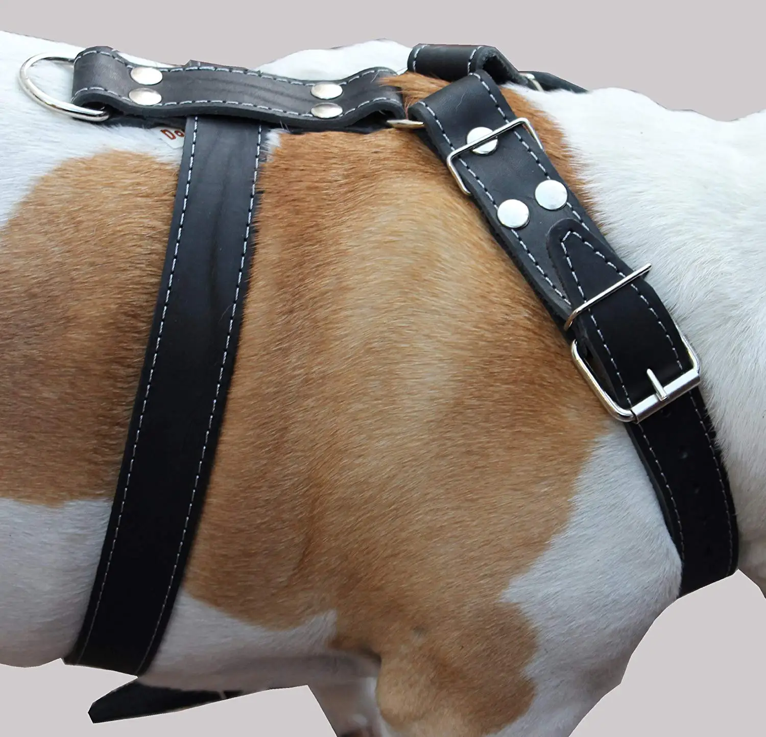 Buy Mens Chest Bulldog Harness Synthetic Leather 4 Strap By Velvetcrow ...