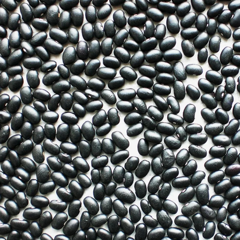 Chinese Dried Black Kidney Beans 50kg Buy Kidney Bean,Black Kidney