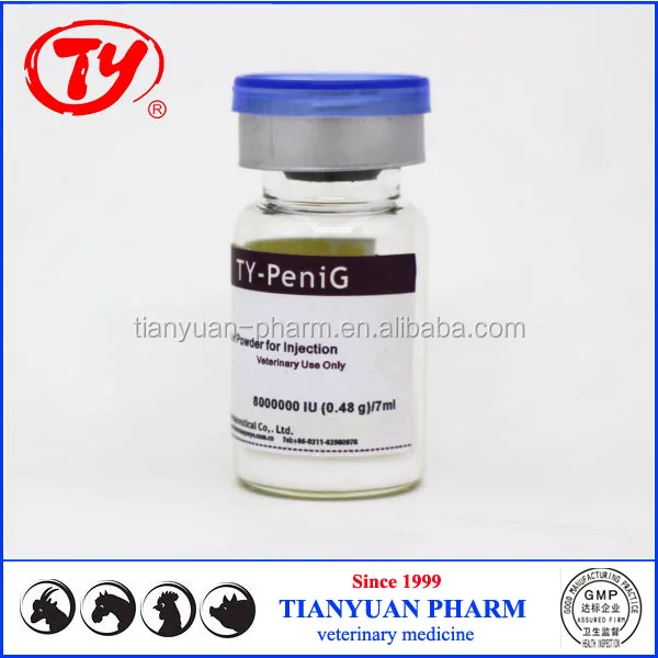 Amoxicillin für tauben