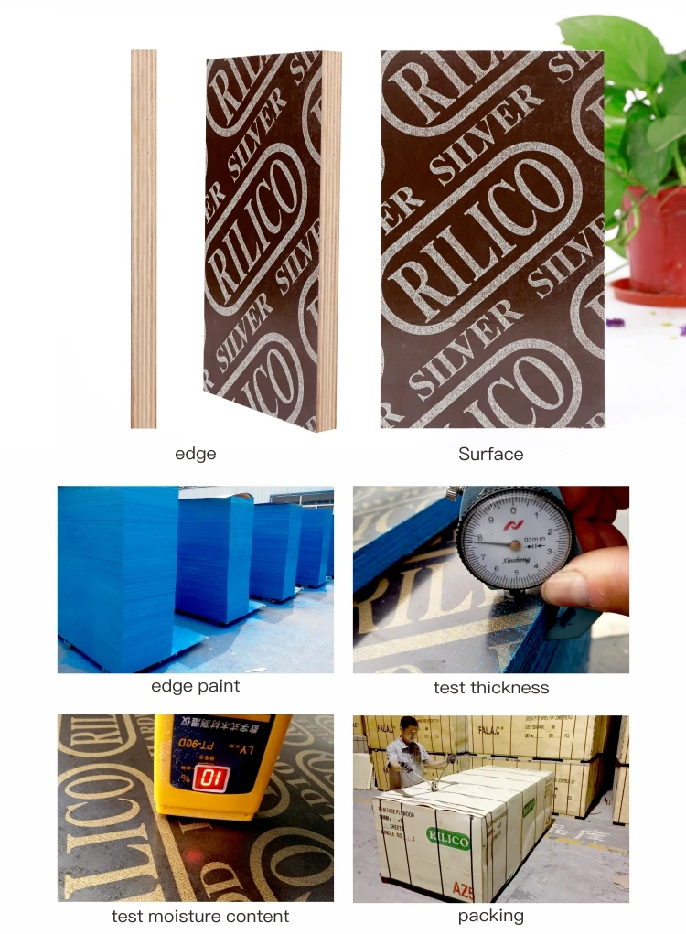 shuttering plywood price