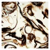 Transtones Translucent Alabaster Stone Resin Panel for Ceiling Tiles or Led Panel Lighting
