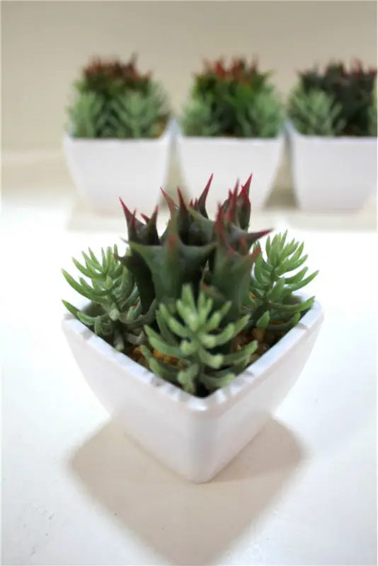 Wholesale Beautiful Mini Artificial Cactus Thorn Plant ...