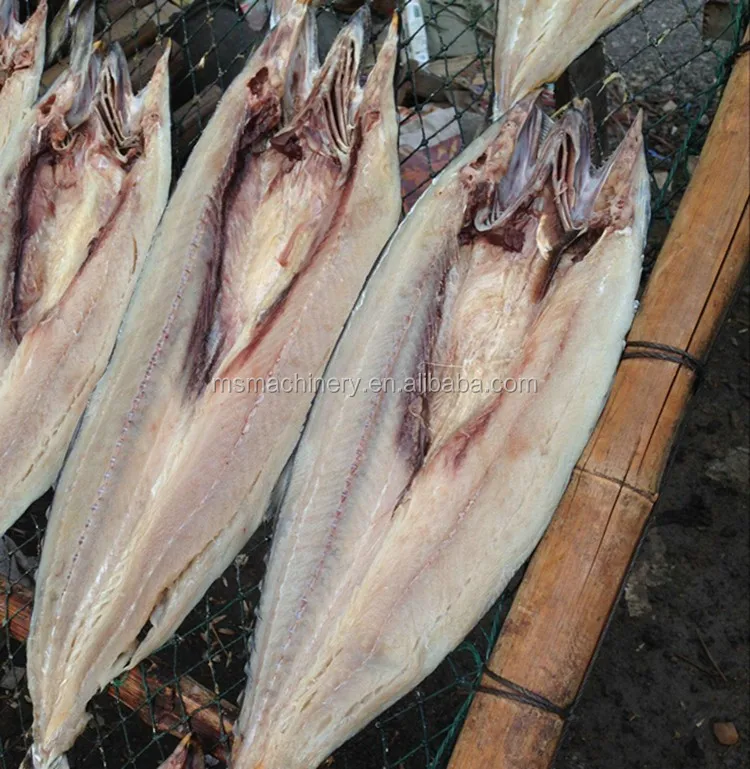 fish cleaning tools