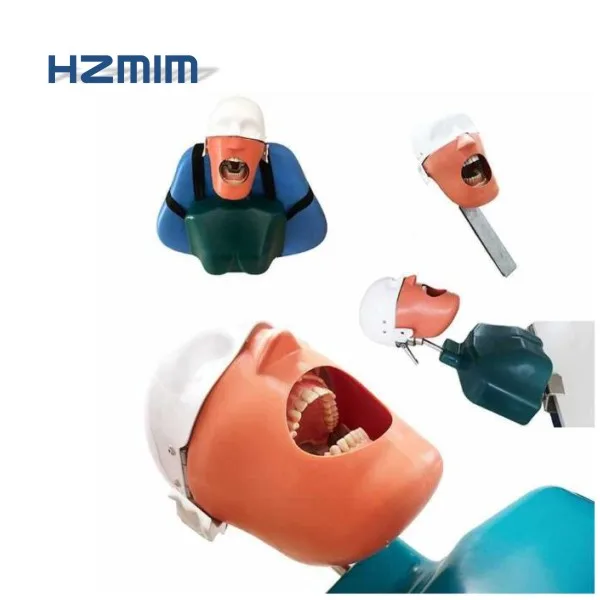 dental manikin 6 -  - .jpg