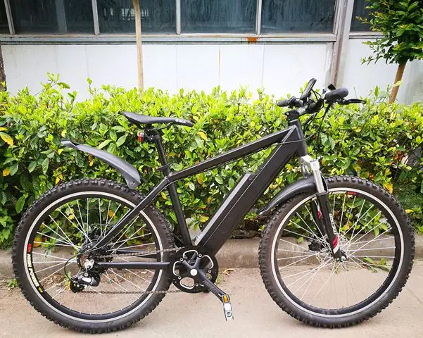 13ah ebike.jpg