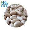 Agricultural equipment Tin can packed fried blanched peanuts raw material for thailand and bulk frozen strawberry is on sale