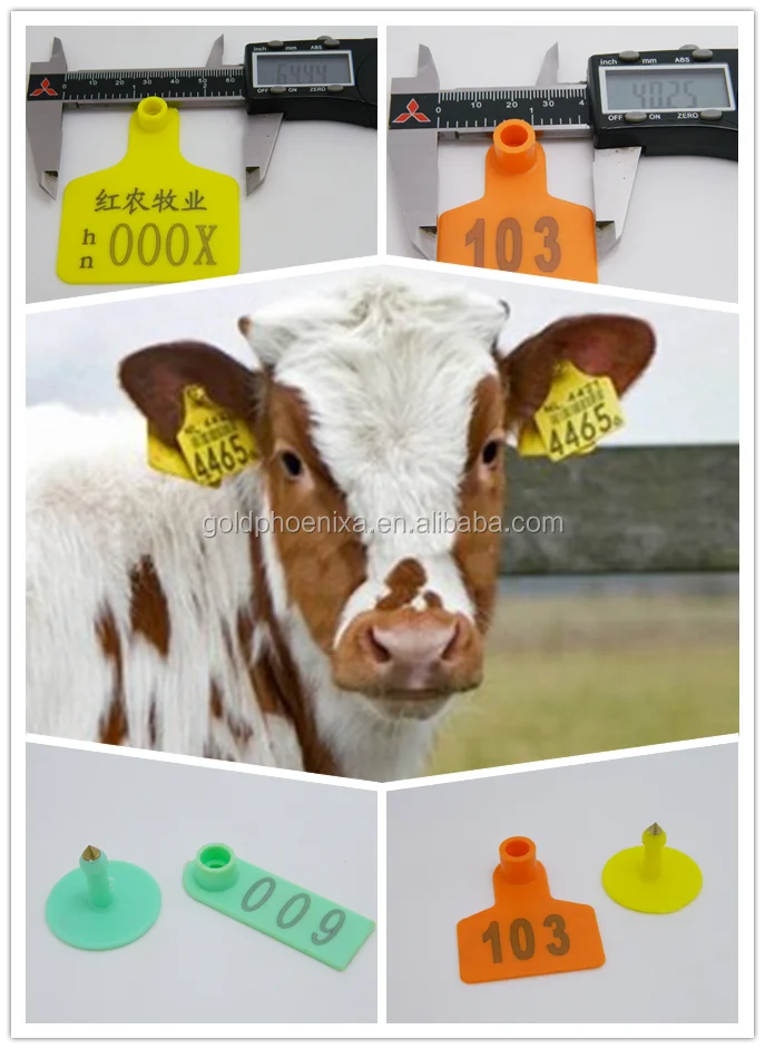 ear tag