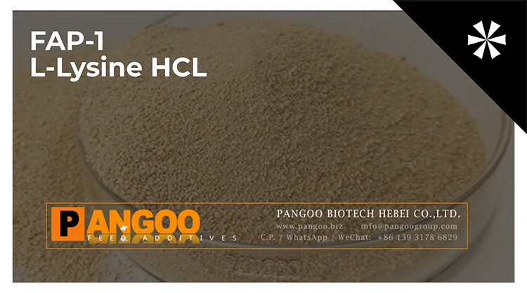 Chinese Factory Hot Sale lysine methionine