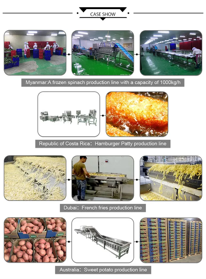 PT-2000 Industrial Automatic Vegetable Blanching Machine