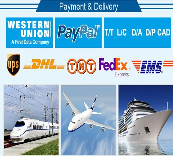 hcv antibody test strip