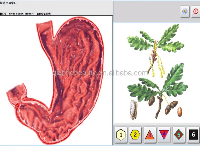 metatron hunter 4025 nls therapy