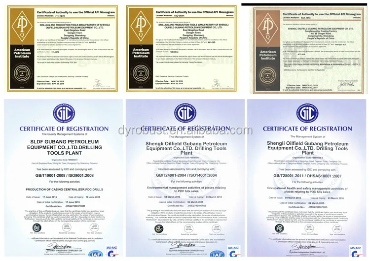 Certificate Of Robust.jpg