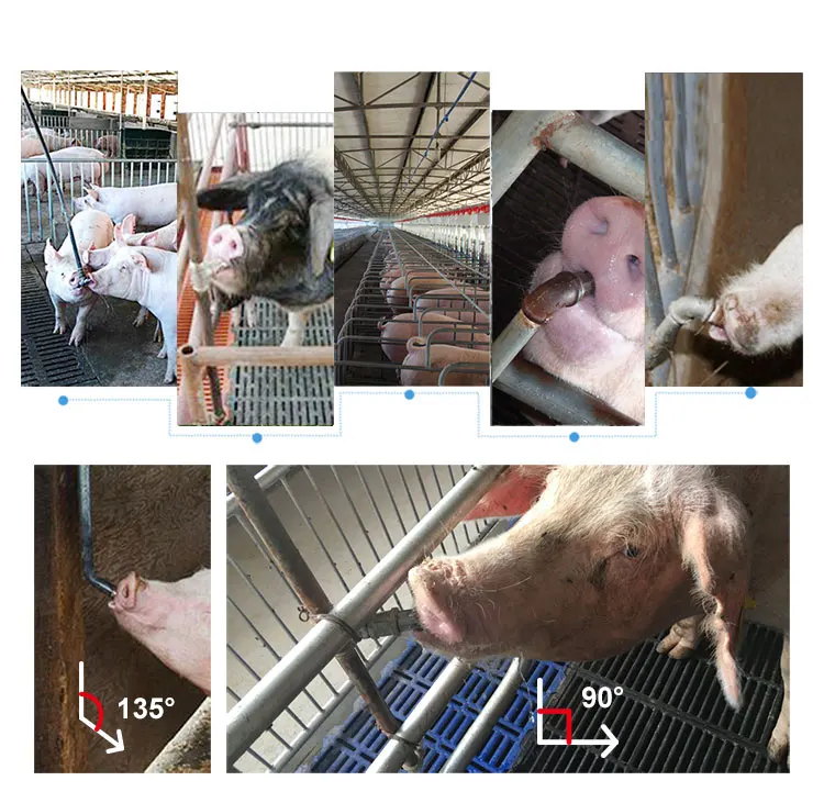 Pig Swine Livestock Stainless Steel Waterer Drinkers Nipples Water DrinkLA A Jl 