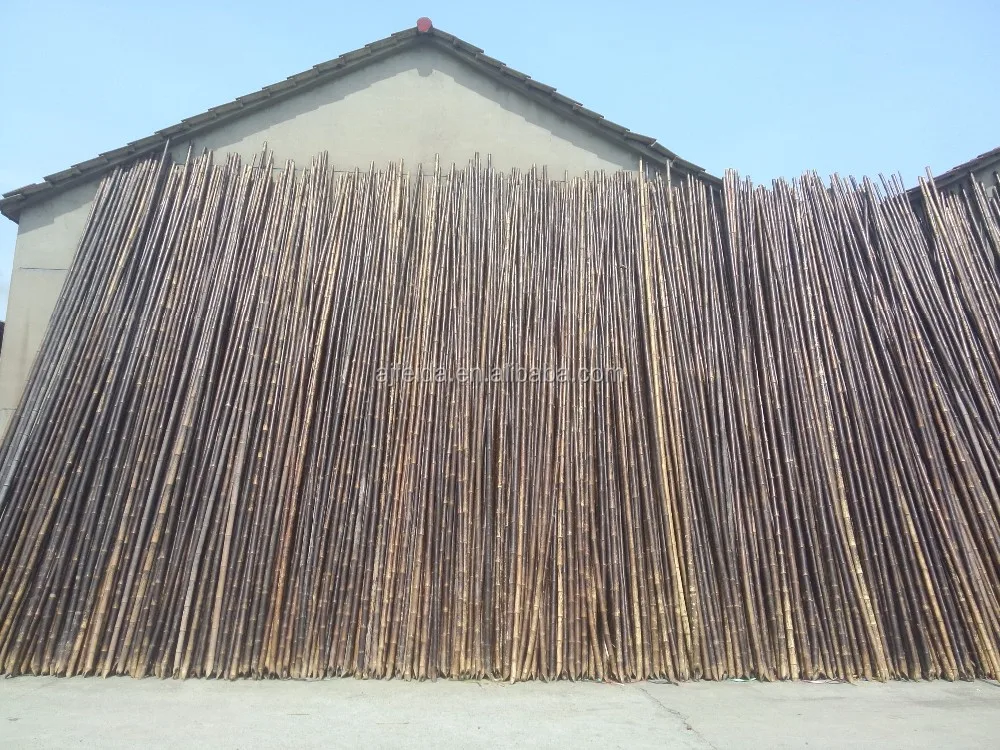 Feida Products217 Bamboo Petung Price/ White Bamboo Poles Cheap - Buy