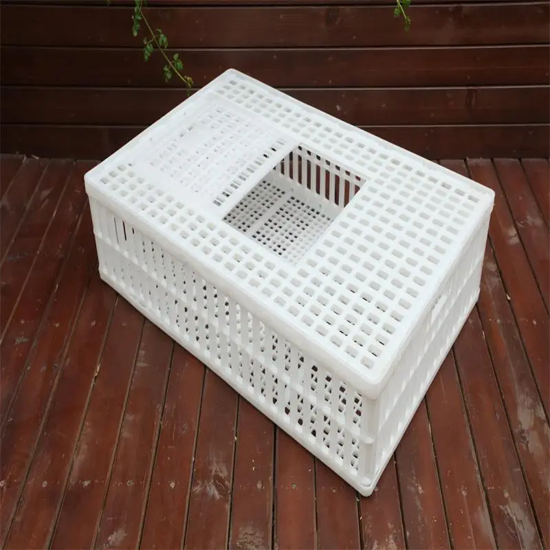 New Design Transport Crates Poultry Chick Transport Cage Price Of