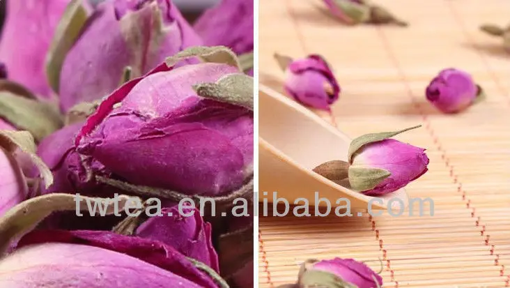 rose buds.jpg