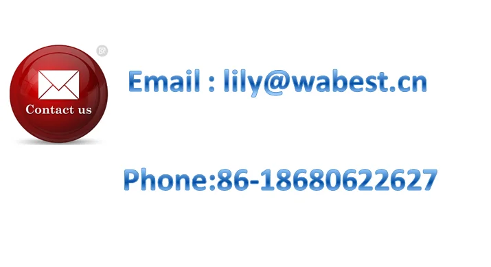 contact lily