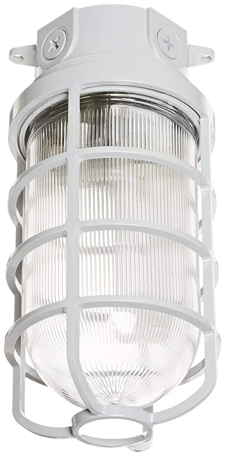 RAB Vaporproof VX100DG caged lighting