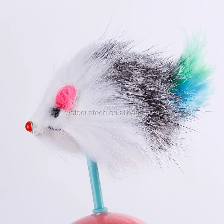 mouse in ball cat toy