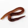 hot sale wholesale Dried Earthworm for Fish Feed