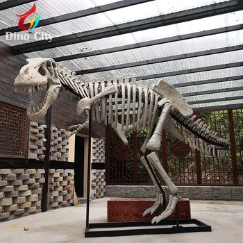 5m Real Size Animated Dinosaur Skeleton Sculpture For Park - Buy