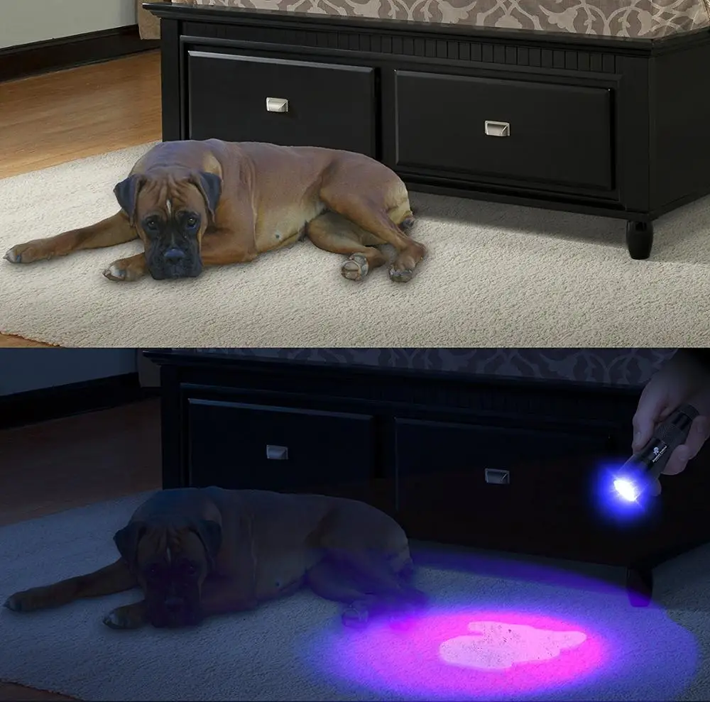 Passiontech 9LED UV 12 LED, Ultraviolet Pet Urine Stain Detector Blacklight Flashlight, Black Carpets Other Pet Stocked