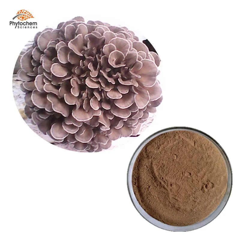 Super Reishi Shiitake Maitake Mushroom Extract Maitake Mushroom