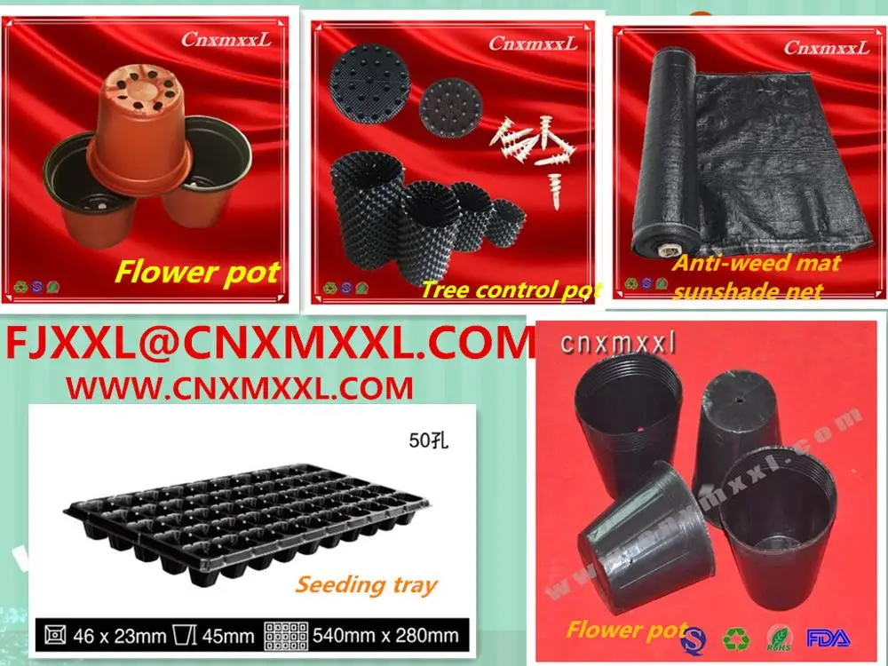 Greenhouse using bicolored small plastic flower nursery pots for seeds