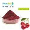 Health Product Acerola Cherry Extract Powder