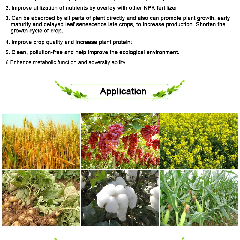 Manufacturer Amino Acid Organic Fertilizer NPK 12-3-6 for agriculture