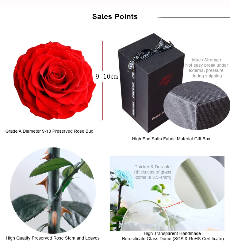 Galaxy Rose In Dome Glass Real Natural Preserved Rose In Glass Dome