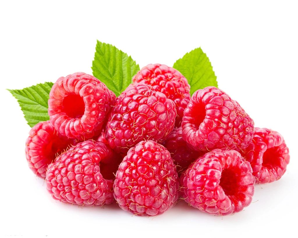 树莓提取物酮/覆盆子果实提取物粉末 - buy raspberry extract ketone