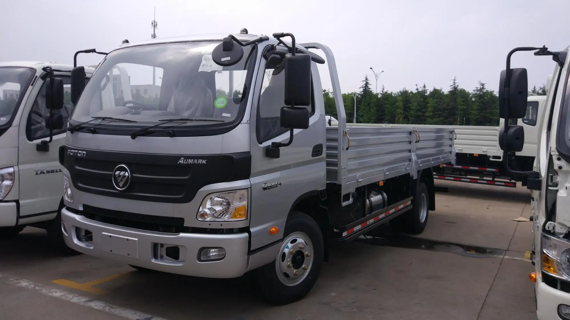 Hyundai HD Cargo Truck 2010