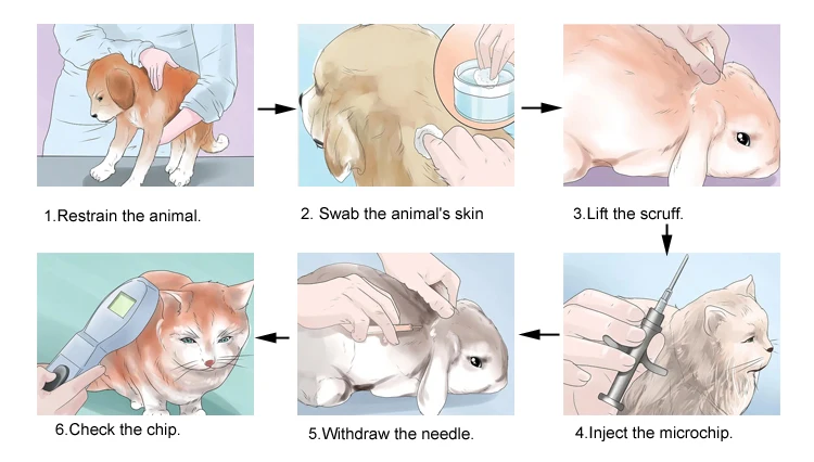 134 2khz Iso11784 5 Icar Rfid Animal Pet Microchip Implant Transponder For Fish Cat Dog Buy Pet Microchip Animal Microchip Rfid Microchip Product On Alibaba Com