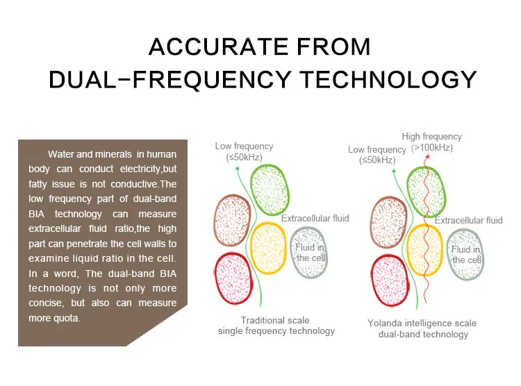 yolanda body composition analyzer dual frequent BIA