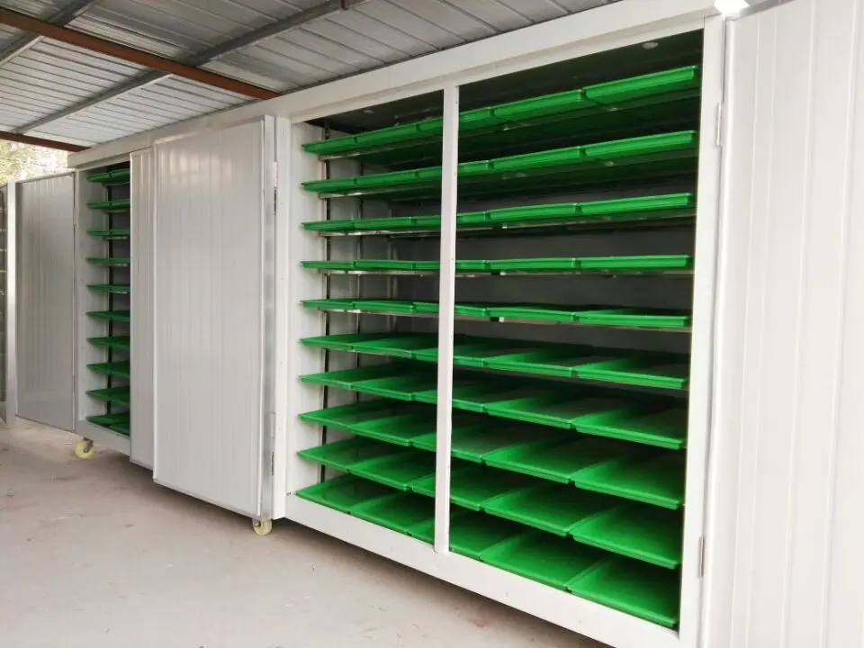bud seedling machine (13).jpg