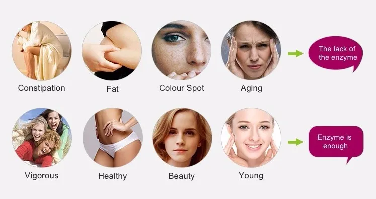 Top quality liquid protease bromelain enzyme