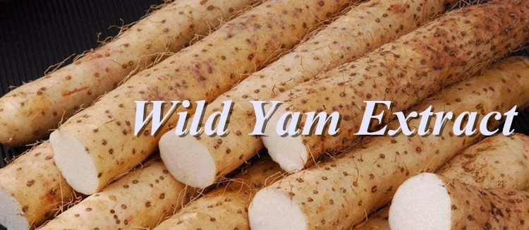 Natural Rhizoma Dioscoreaewild Yam Extract Buy Wild Yam Extract