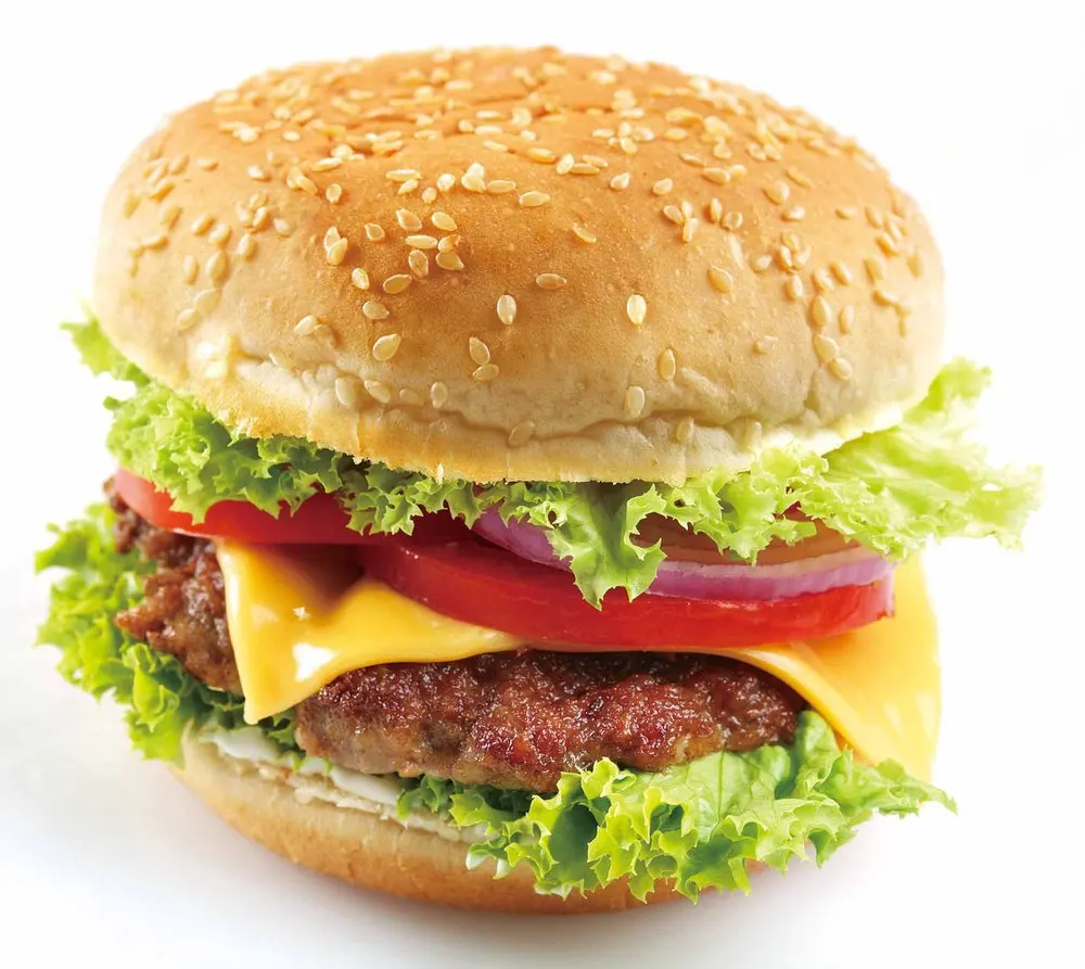 商 - buy 工业汉堡包制造商,商业汉堡压机,不锈钢汉堡压机 product on