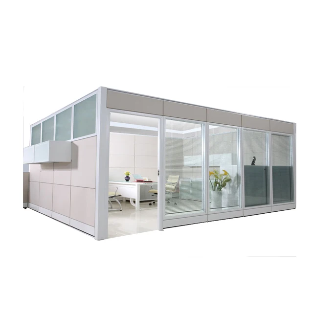 Architectural Interior Glass Wall Systems Office Partition Walls