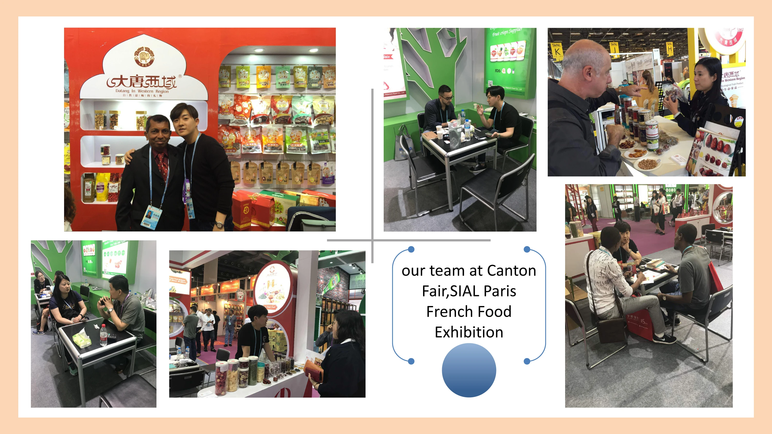 freeze dry fruit jujube freeze-dried dates