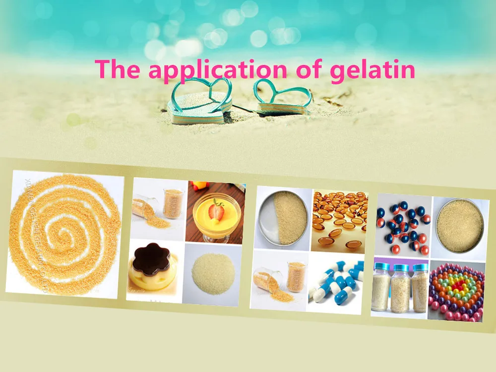 Top Gelatin Factory Food Grade Gel Strength 240 Bloom Gelatin Buy 240