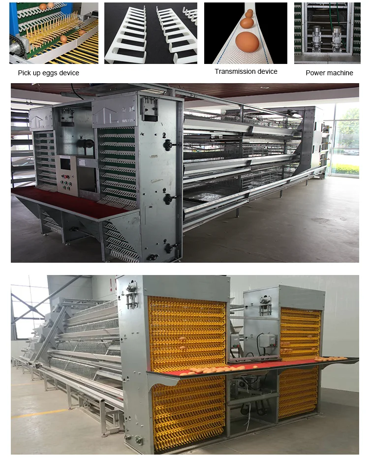 Chicken Coop Automatic Nontoxic Egg Collection Conveyor Belt Buy Automatic Nontoxic Egg