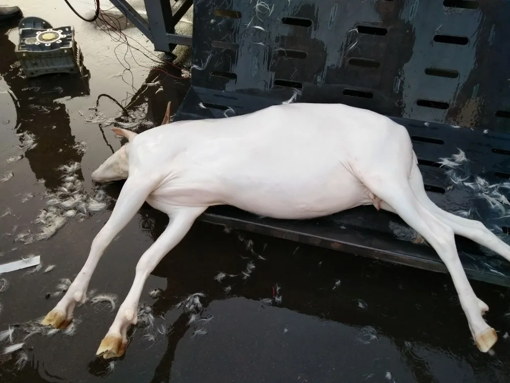 QQ20161117164737 (2).jpg