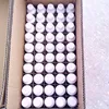 GMP veterinary drugs Best flea tick control products Deltamethrin solution
