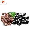 Red maple leaf production Slimming Thin Body Function and Herbal Supplements Type Coffee Softgel Capsule